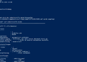 Powershell Netzwerk Interface Einstellungen