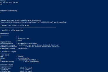 Powershell Netzwerk Interface Einstellungen