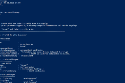 Powershell Netzwerk Interface Einstellungen